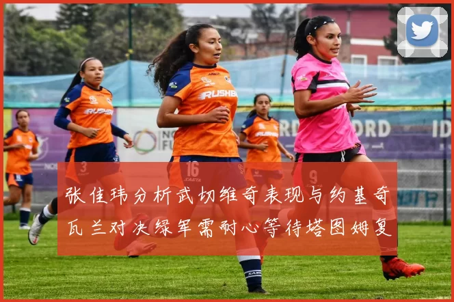 张佳玮分析武切维奇表现与约基奇瓦兰对决绿军需耐心等待塔图姆复出