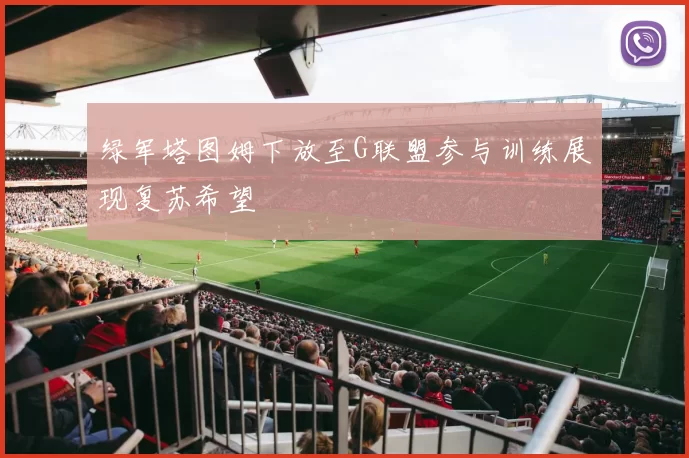 绿军塔图姆下放至G联盟参与训练展现复苏希望